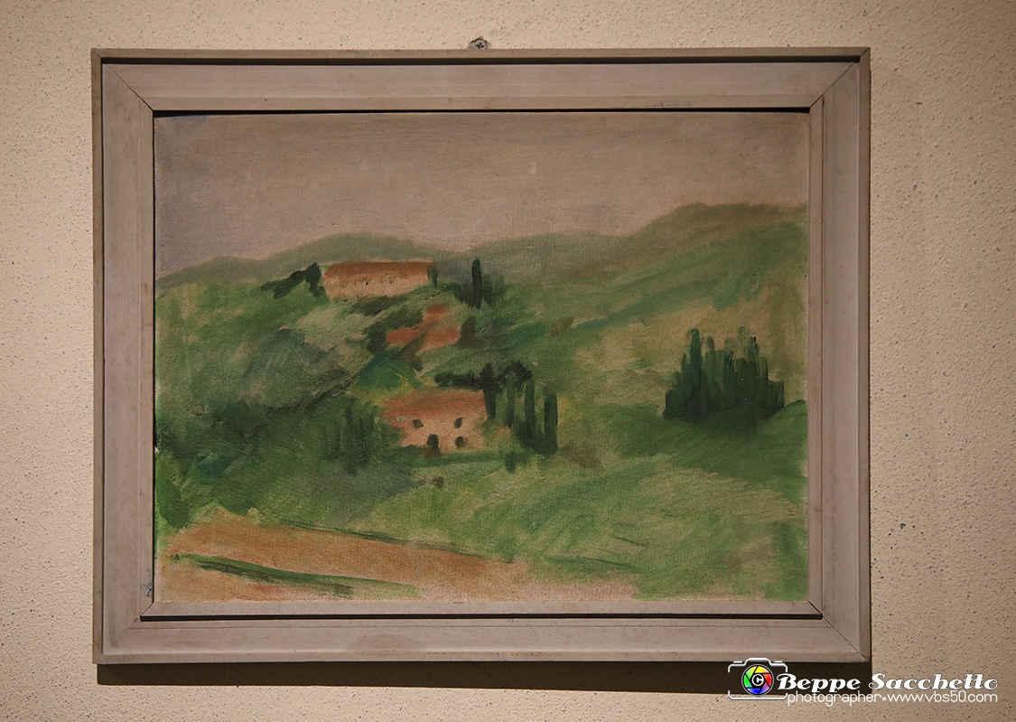VBS_1382 - Castello di Miradolo - Mostra Oltre il giardino l'Abbecedario di paolo Pejrone.jpg